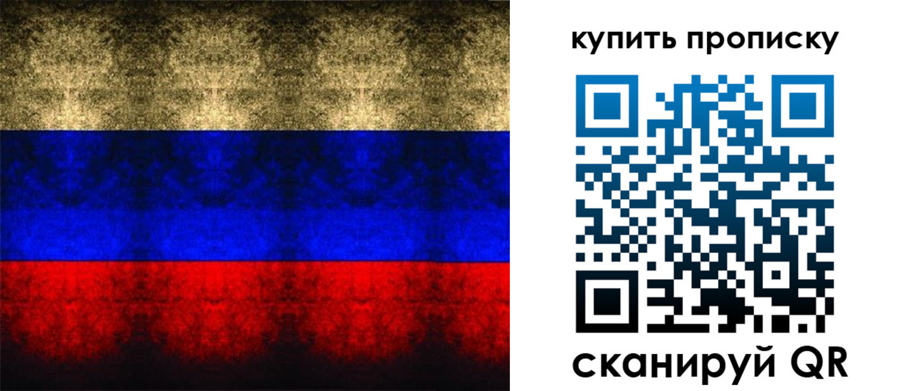 прописка в Козельске